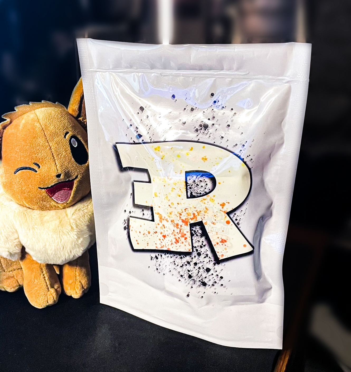 Treasure Mystery Bag